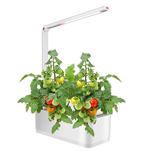 Scottish Boy Intelligent Indoor Garden Hydroponics Growing System Starter Kit with Grow Light Home Smart Countertop Herb Garden Kit Indoor