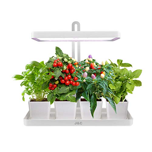 J & C Indoor LED Herb Garden Self-Watering Grow Box
