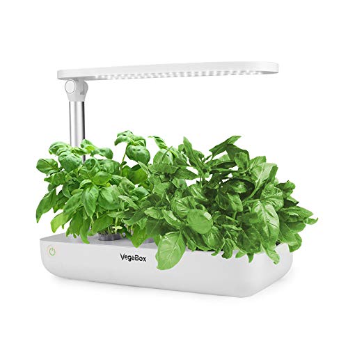 Vegebox Hydroponics Growing System All season solution