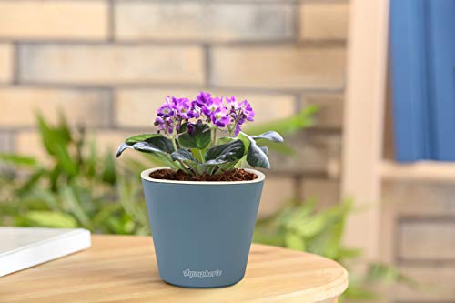 Self Watering Mini 3.5" Planter Pots (3 Charcoal) Grow a Windowsill Garden. Perfect for Potting Small House Plants, Herbs, African Violets, Succulents, Flowers or Start Seedlings. (Charcoal Matte)