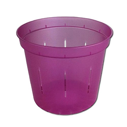 5" Slotted Clear Orchid Pots - 3 Pack (Wild Orchid)