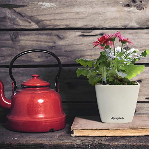 Aquaphoric Self Watering Planter (5”) + Fiber Soil = Foolproof Indoor Home Garden. Decorative Planter Pot for All Plants, Flowers, Herbs, African Violets, Succulents. Easy Looks Great. (Ivory Matte)